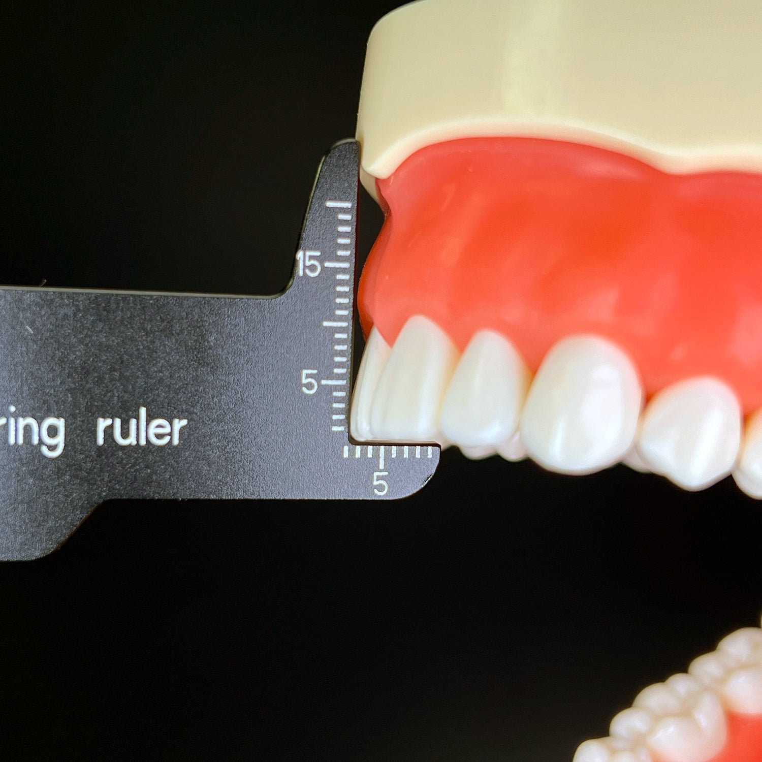 Dental Precision Measuring Ruler – Dental-photo