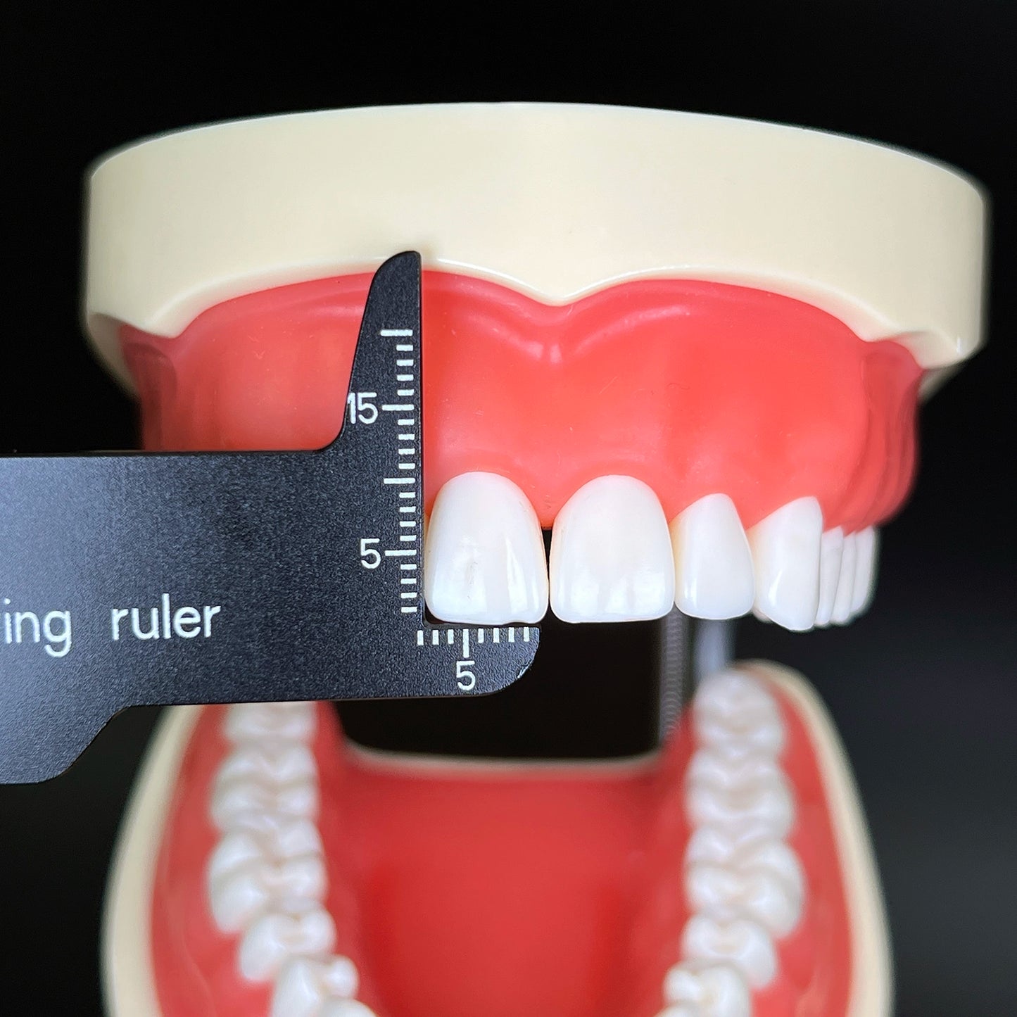사진술과 치과를 위한 치과 정밀도 측정 눈금자 의학 공구