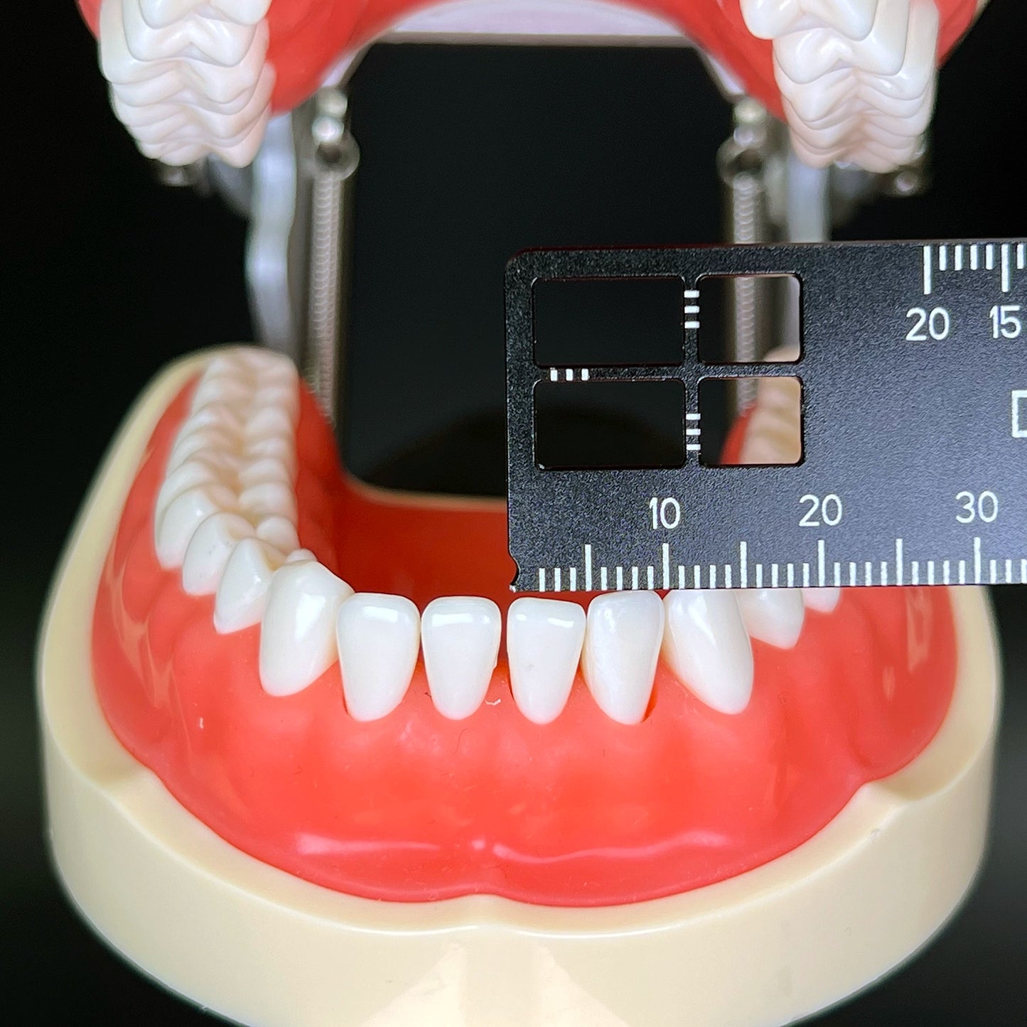 Regla de medición de precisión Dental, herramienta médica para fotografía y odontología